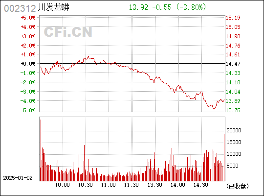 關(guān)于股票002312的全面解析，股票002312深度解析與探討