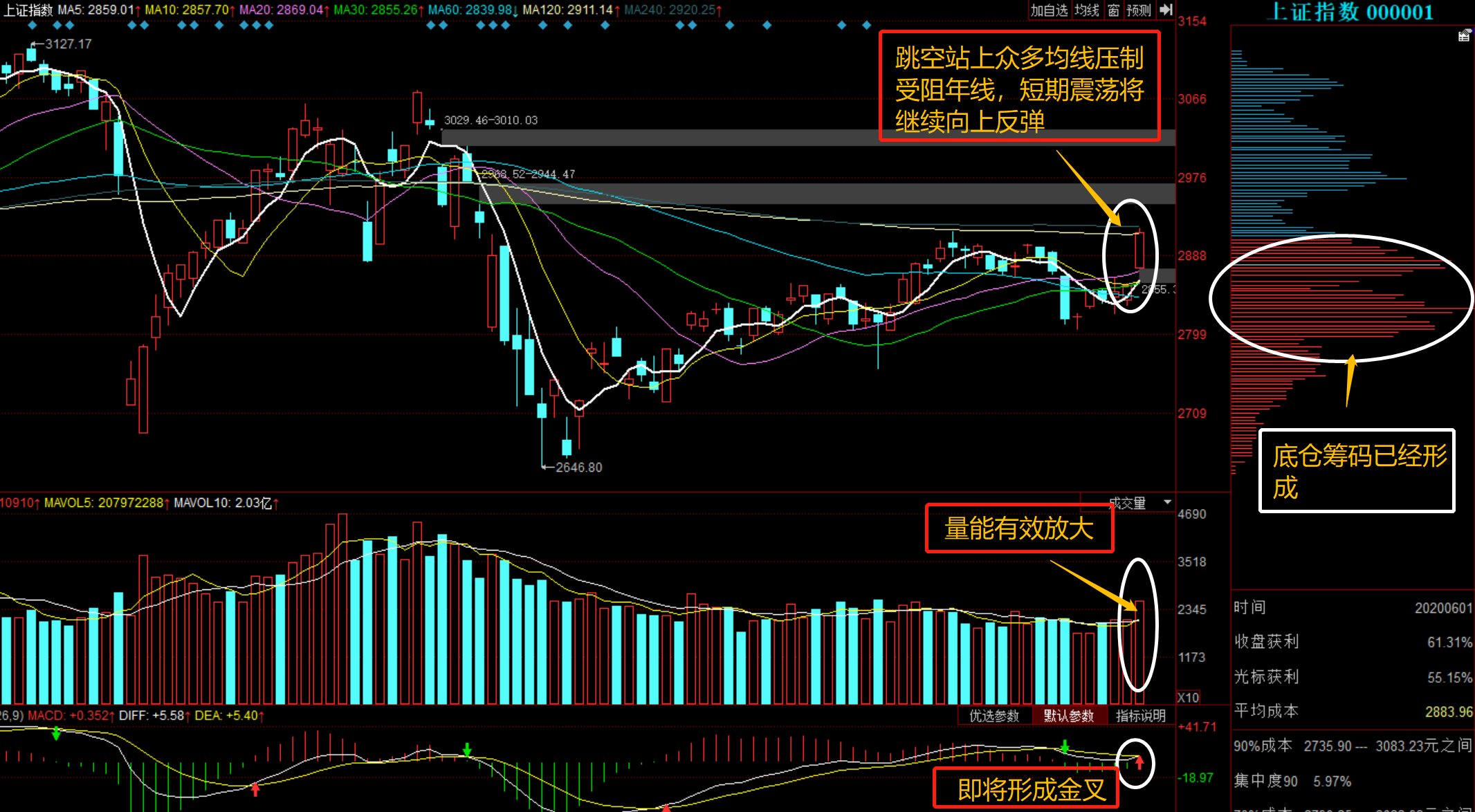 深度解析，600805股票行情全面解讀，深度解析，全面解讀600805股票行情