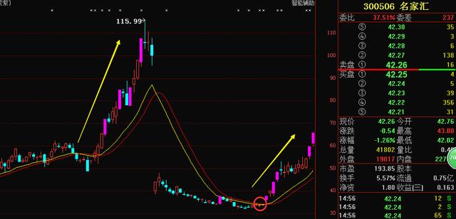 股票300510，深度解析與前景展望，股票300510深度解析與未來展望