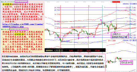 探索600884股吧的獨(dú)特魅力與價值潛力，揭秘600884股吧的獨(dú)特魅力與潛力無限的股票價值