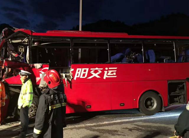 日本大巴車(chē)強(qiáng)與車(chē)漢，探索背后的故事與真相，日本大巴車(chē)強(qiáng)與車(chē)漢背后的故事與真相探索