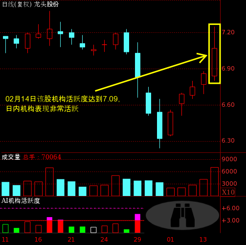 揭秘600630股票的主力資金動(dòng)向，揭秘，600630股票主力資金動(dòng)向解析