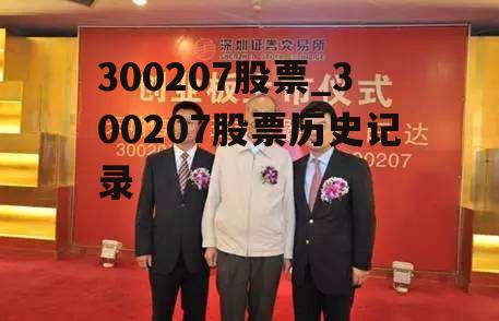 股票300207，深度解析與前景展望，股票300207深度解析與未來前景展望