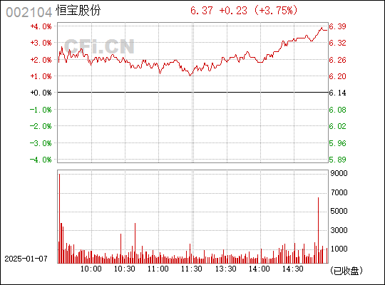 恒寶股份股票，深度解析與前景展望（代碼，002104），恒寶股份股票深度解析及前景展望（代碼，002104）