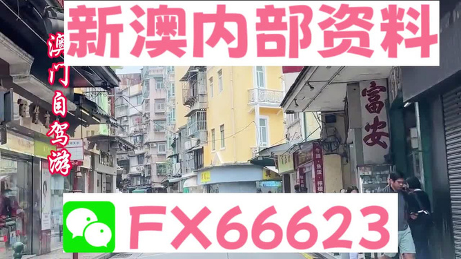 新澳精準(zhǔn)資料免費(fèi)提供，探索與實(shí)踐的指南，新澳精準(zhǔn)資料免費(fèi)分享，探索與實(shí)踐的導(dǎo)航指南