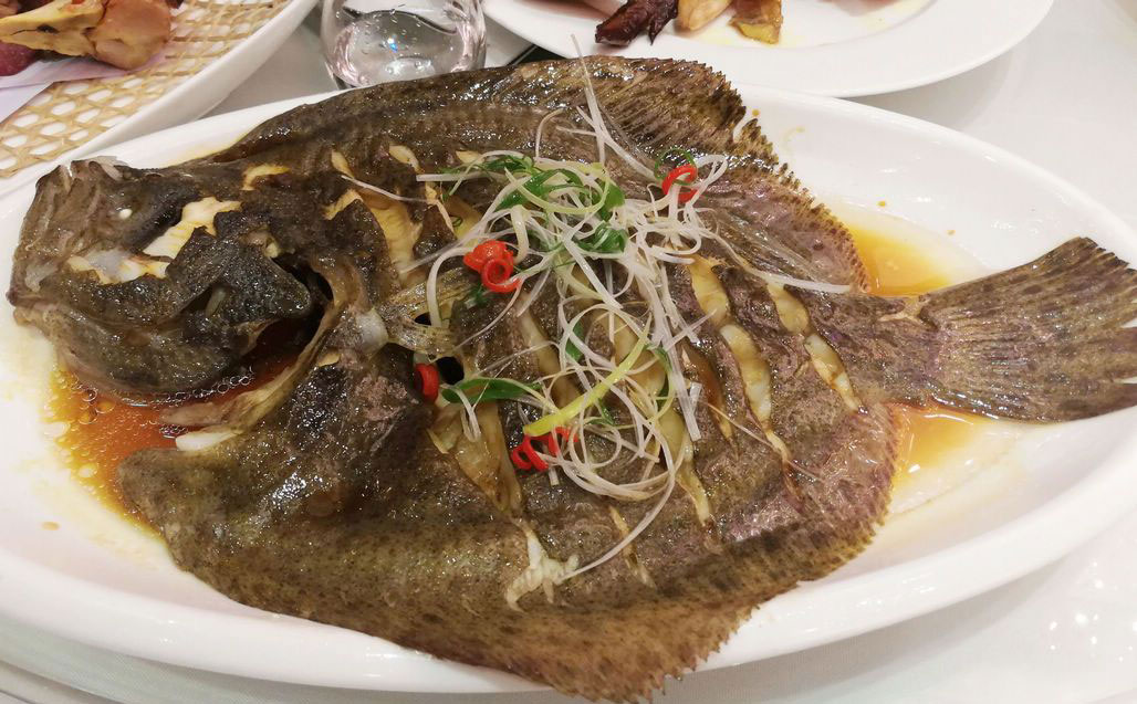 多寶魚的奧秘，探索海洋美食的SEO之旅，多寶魚的奧秘，海洋美食SEO之旅的深入探索