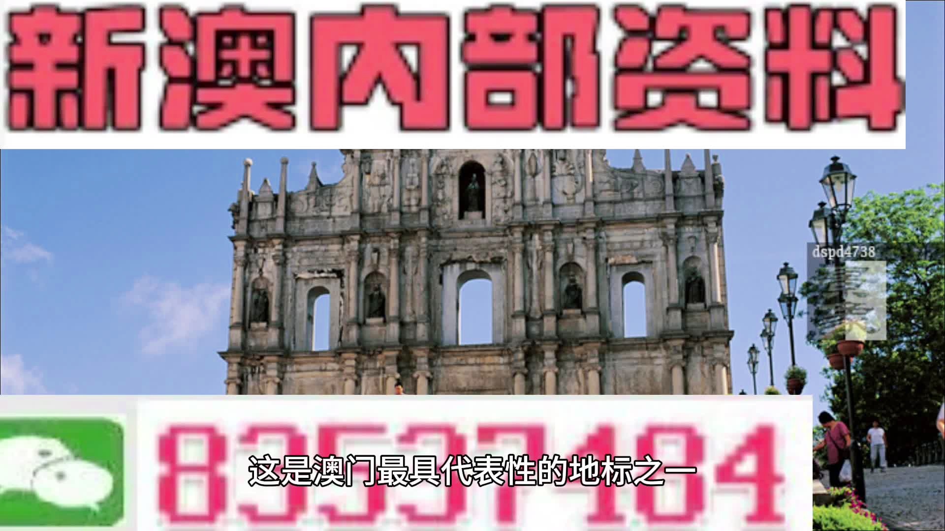 新門內(nèi)部精準(zhǔn)資料免費獲取指南，新門內(nèi)部資料免費獲取攻略