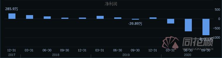 揭秘南國置業(yè)大黑馬，002305的獨特優(yōu)勢與市場前景展望，南國置業(yè)大黑馬揭秘，002305的獨特優(yōu)勢與市場展望