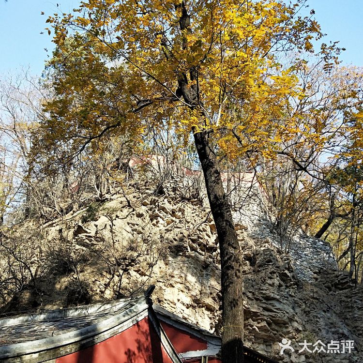 上方山森林公園，自然之美的獨(dú)特體驗(yàn)，上方山森林公園，自然之美的獨(dú)特探險(xiǎn)之旅