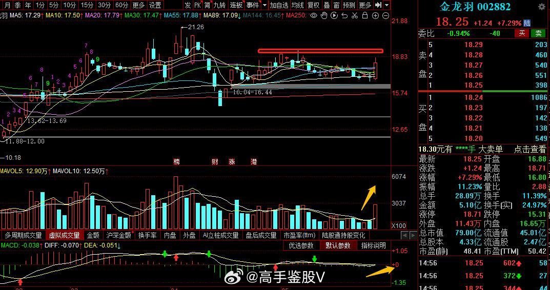 關(guān)于金龍羽股票的全面解析，金龍羽股票全面解析與評估