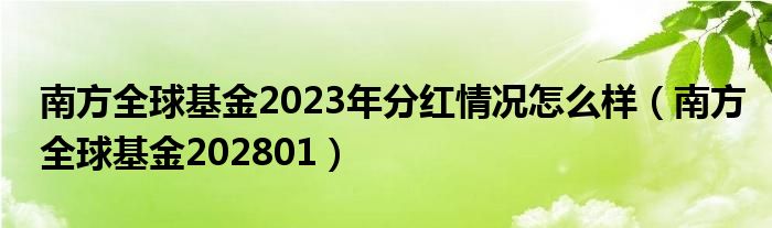 基金202801分紅情況