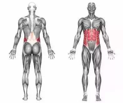腹部肌肉塑造攻略