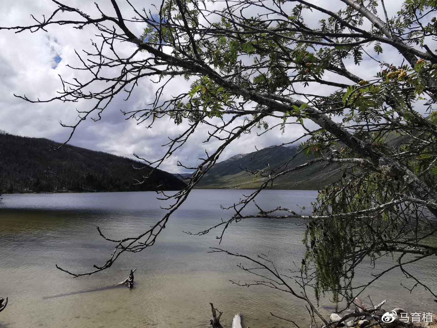 最佳旅游季節(jié)與應對天氣變化策略