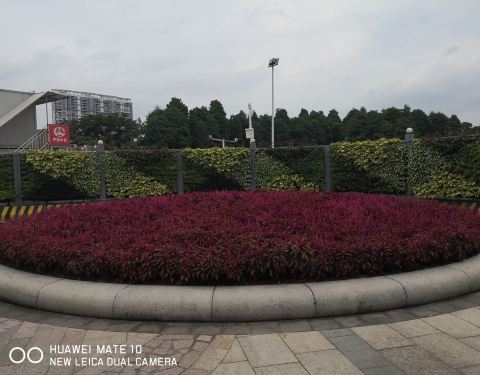 流花湖公園游覽圖——探索自然之美的絕佳去處，流花湖公園游覽圖，自然之美的探索之旅