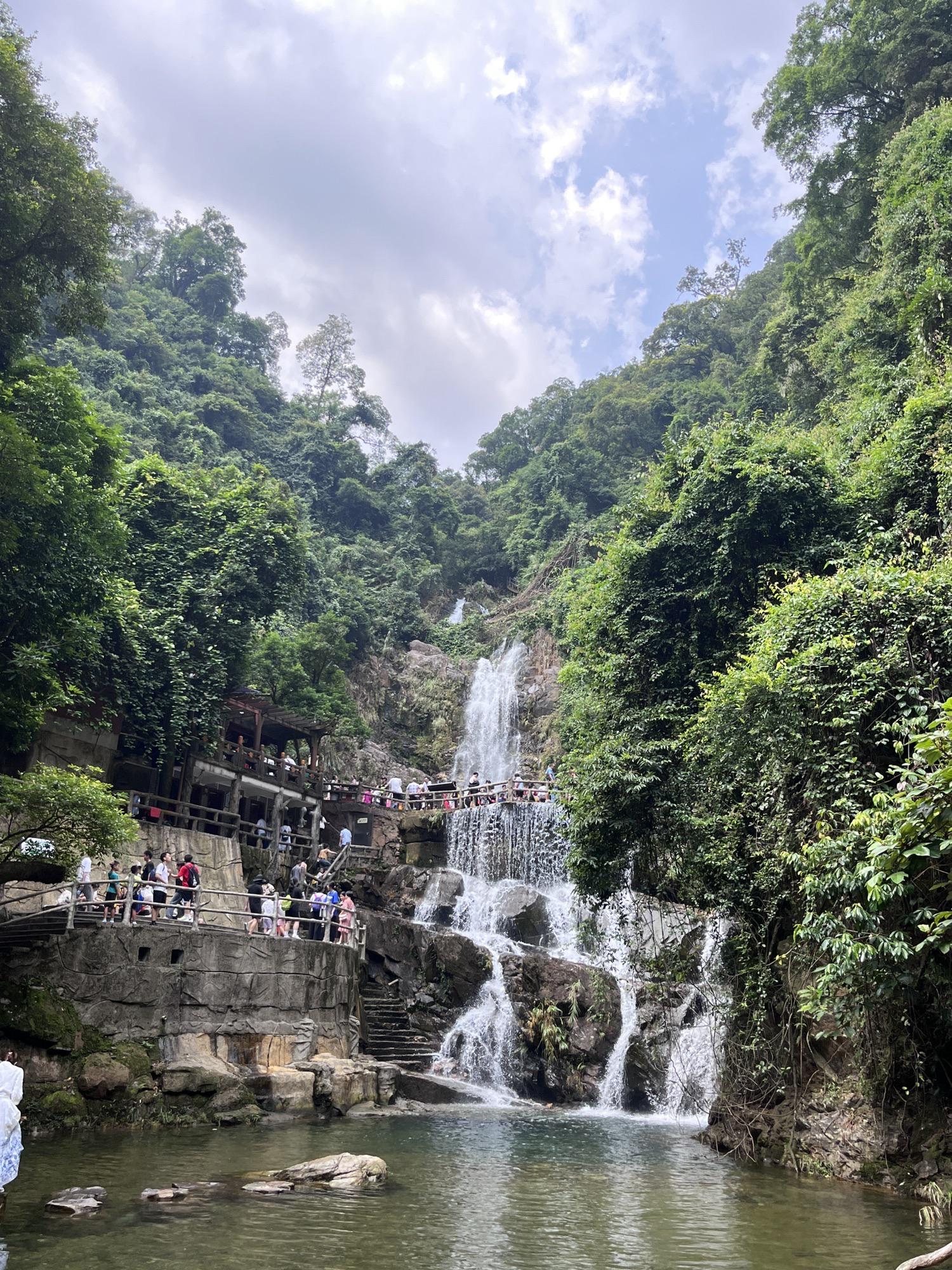 南國風情探索