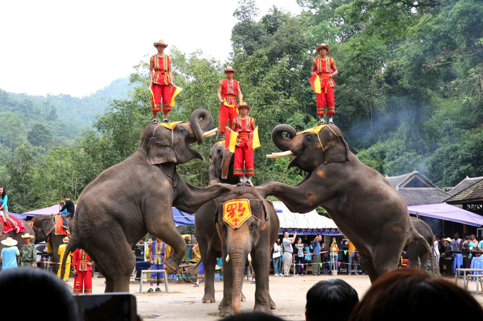 西雙版納旅游圖片 風(fēng)景