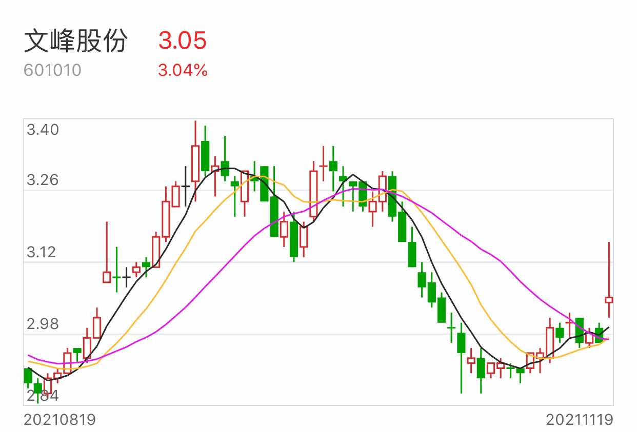 文峰股份傳聞深度解析